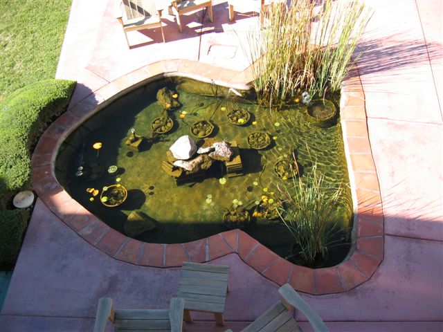 The Slammer photograph