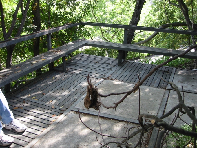 The existing terrace, seat and rail.