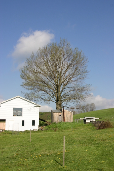 Spring view of sauna.