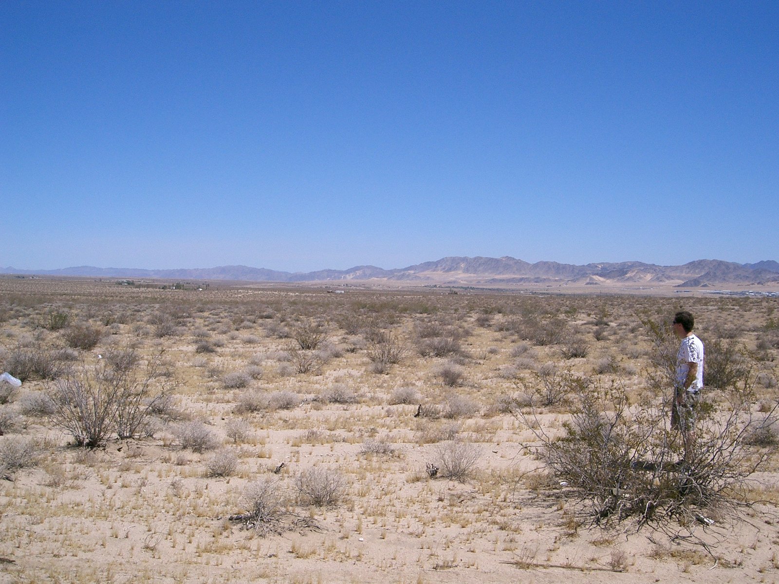 Looking north to the Marine base over the seventy-five acres.