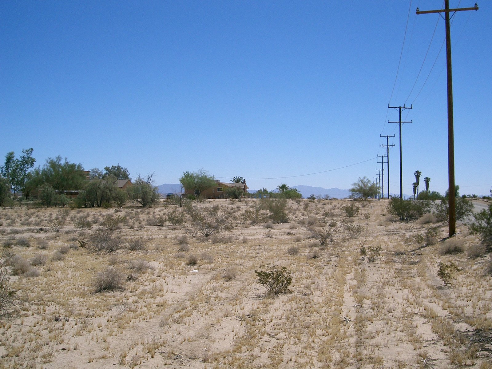 Looking east along the road\\\'s edge.