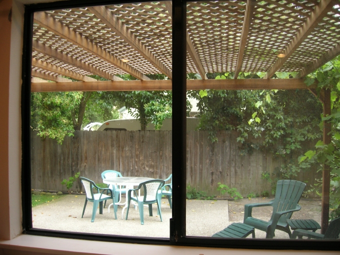 This is a view into the underutilized backyard area through the existing grape t
