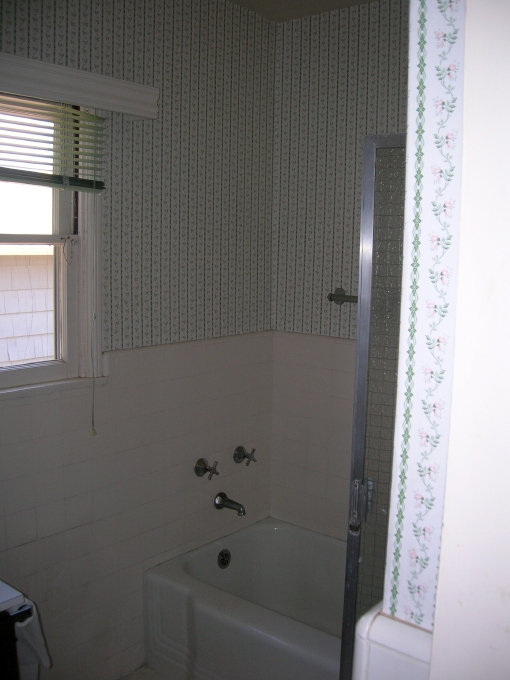 The Master Bathroom. It seemed to have had some work done previously, but it was